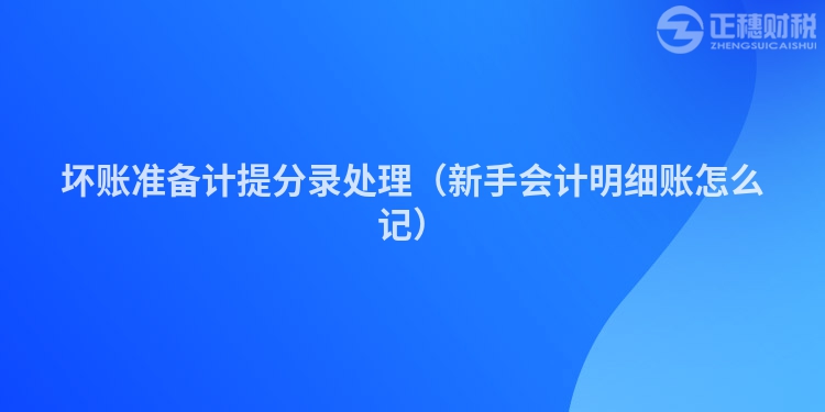 坏账准备计提分录处理（新手会计明细账怎么记）