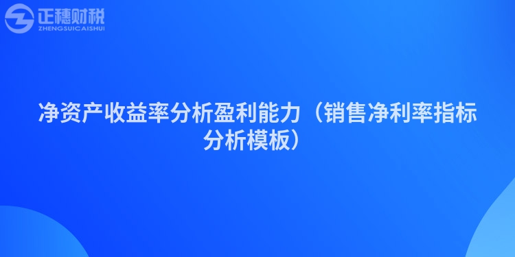 净资产收益率分析盈利能力（销售净利率指标分析模板）