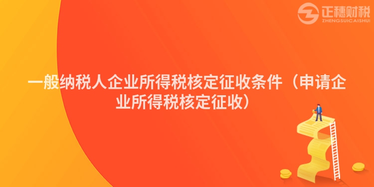 一般纳税人企业所得税核定征收条件（申请企业所得税核定征收）