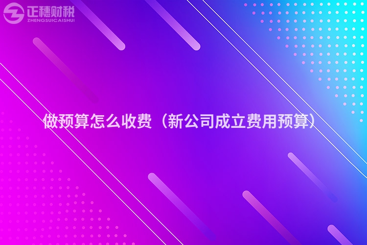 做预算怎么收费（新公司成立费用预算）