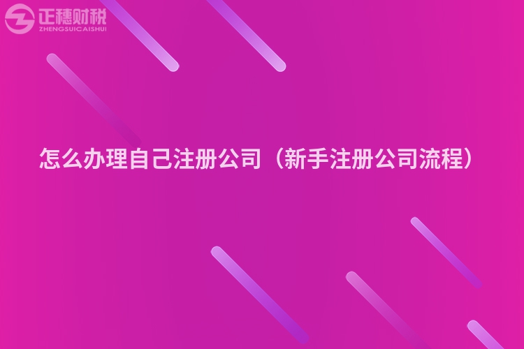 怎么办理自己注册公司(新手注册公司流程)