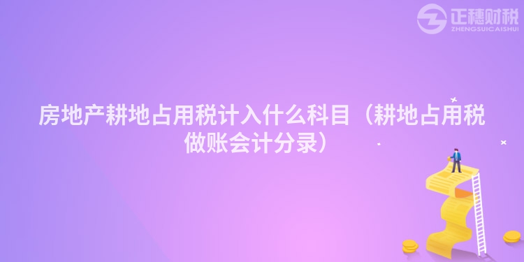 房地产耕地占用税计入什么科目（耕地占用税做账会计分录）