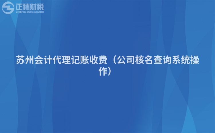 苏州会计代理记账收费（公司核名查询系统操作）